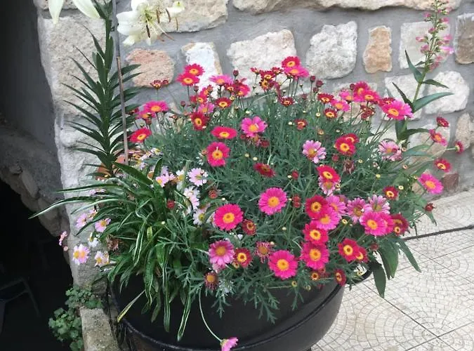 Bed & Breakfast La Mascotte