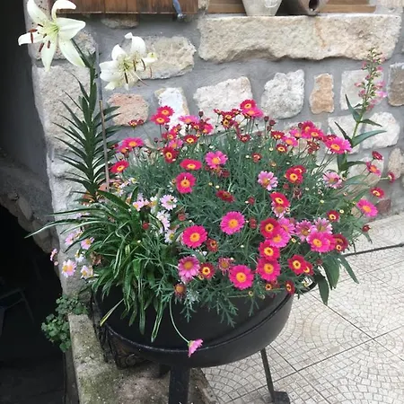 Bed & Breakfast La Mascotte
